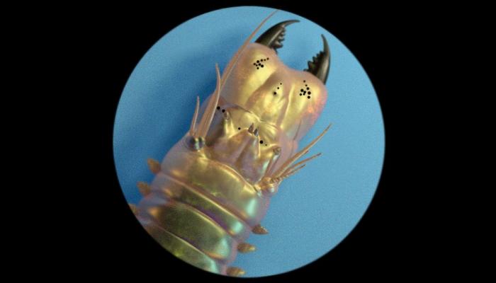 Slide image